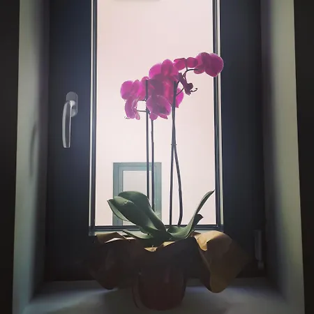 Iskra Sparkle Apartmán Soko Banja